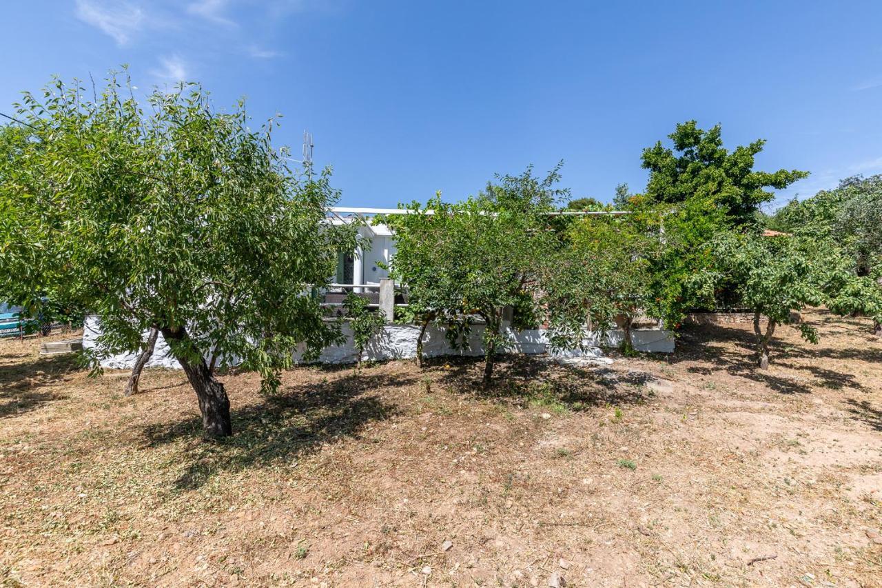 Skopelos Amigdalia Cottage Экстерьер фото